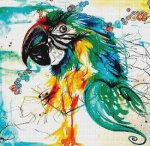 (image for) Parrot